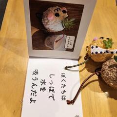自分好みに作って育てる苔玉モスペット👻ハロウィン - ワークショップ