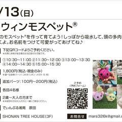 自分好みに作って育てる苔玉モスペット👻ハロウィン - イベント