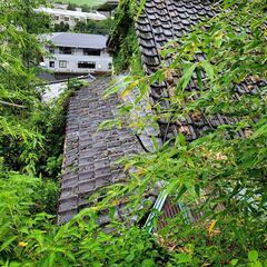 草刈りをお願いします