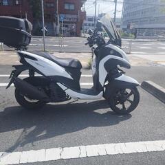 トリシティ１５５ 側車付　トライク　普通免許