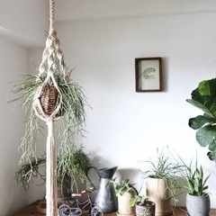 【ご希望の日時をお知らせください】プラントハンガー　マクラメ　2...