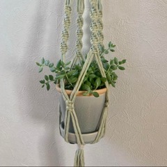 【ご希望の日時をお知らせください】プラントハンガー　マクラメ　2点セットの画像