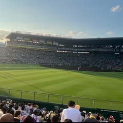 甲子園　タイガース　チケット余ってます。（無料）一緒に観戦…