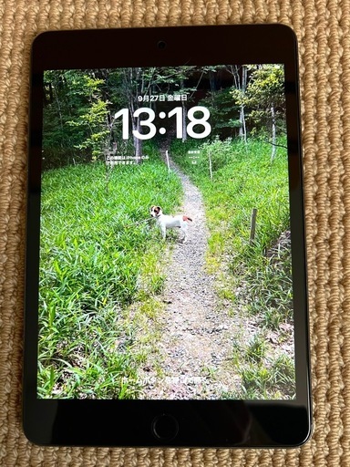 iPad mini5 256GB Wifi、Apple Pencilのセット