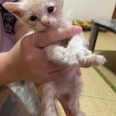 里親様決まりました‼️