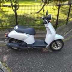 ホンダ🌟AF61トゥデイ実働🌟原付バイク