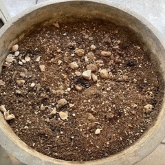 植木鉢
の画像