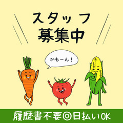 履歴書不要🍀日勤×土日休み🌈ドライバー＆倉庫内作業❗20～50代...