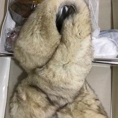 成人式様FOX
