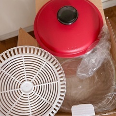 10月末まで！耐熱ガラススチーマー