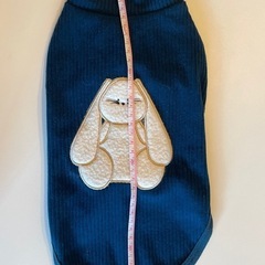 小型犬　服の画像