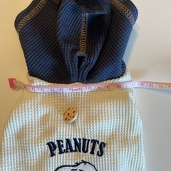 小型犬　服の画像