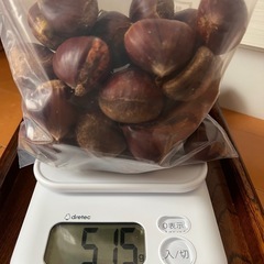 生栗1キロペガサスの画像