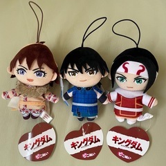 大幅値下げ‼️キングダム ピこぬい 3個セット