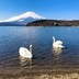 ランキングキーワードに紐づく投稿画像-レンタカー