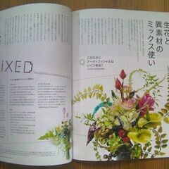 花★ドライフラワーの人気、拡大中！フローリスト(10月号 OCT.2019) 月刊誌／誠文堂新光社◎現品のみ売切れ御免★の画像