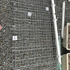 犬ゲージ