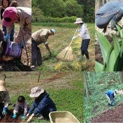 里山作りに協力してくださる方募集 - 上水内郡