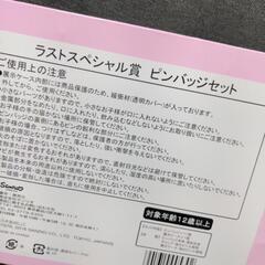 【新品】乃木坂４６✕マイメロディ　ラストスペシャル賞　ピンバッジセットの画像