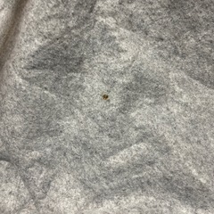 カーペット　ベージュピンクの画像