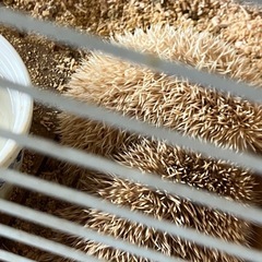 生き物が大好きな人大集合のグルチャ！