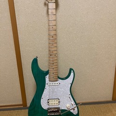 コンポーネントギター　スナッパータイプ