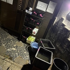 メダカ無人販売　4月1日より販売再開‼️ - 岡山市
