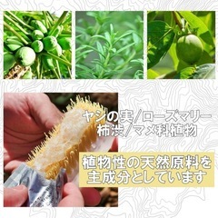 5回分　高い洗浄力　高い生分解性　靴用クリーナー シュークリーニングジェルの画像