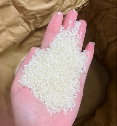 令和6年度米 新米　虹のきらめき米　白米27キロ　11800円