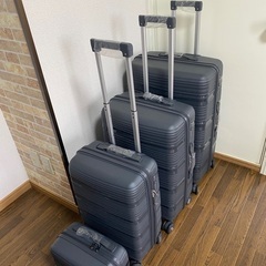 （新品、未使用）4点セット PPトラベルケース 防爆ジッパー付き カルーセルトラベルケースの画像