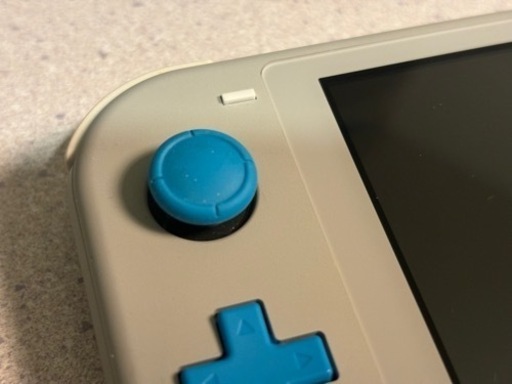 【お譲り先決定】Nintendo Switch Lite本体+あつまれ どうぶつの森インストール済み