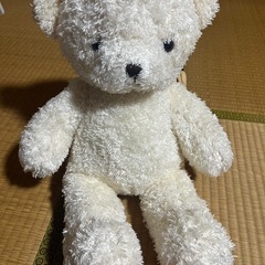 くまのぬいぐるみ3匹セットの画像