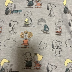 サイズ100の画像