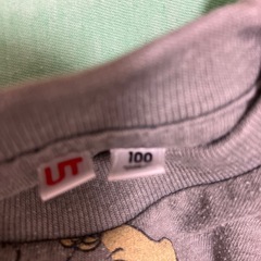 サイズ100の画像