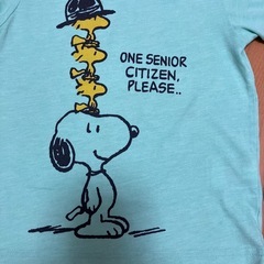 サイズ100の画像