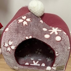 猫　ネコ　キャットハウス