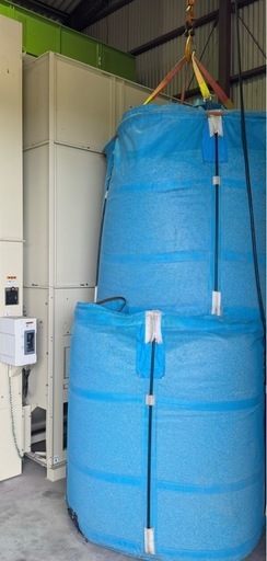 きぬむすめ 令和6年度産  玄米30kg