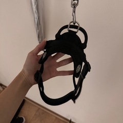 FIELDMASTERハーネス　ペット　犬の画像