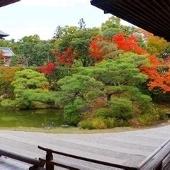 聖地巡りでリフレッシュ🌟 − 京都府