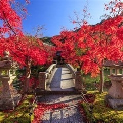 聖地巡りでリフレッシュ🌟