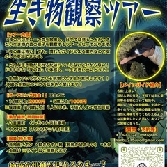 【ジモティー限定！無料キャンペーン中！】ナイトツアーのご案内です！！