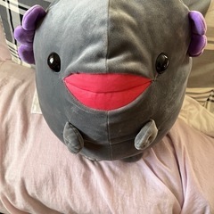 たちっぱしりーず