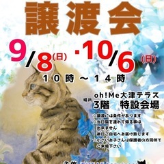 10/6 (日) 保護猫の譲渡会🐈🐈🐈