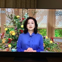 ４K有機ELテレビ55型 パナソニック　ビエラ　TH-55GZ2000の画像