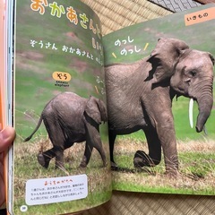 絵本　1さいだもんの画像