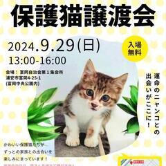 浦安市保護猫譲渡会のお知らせ