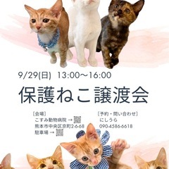 😺保護猫譲渡会のお知らせ😺