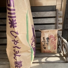 令和6年度　石川県産　新米ひゃくまんごくの画像