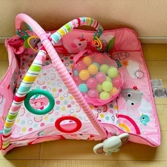 プレイジム　美品