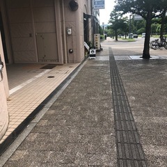 【胡蝶蘭お好きなかた】お花の株お譲りします♡の画像